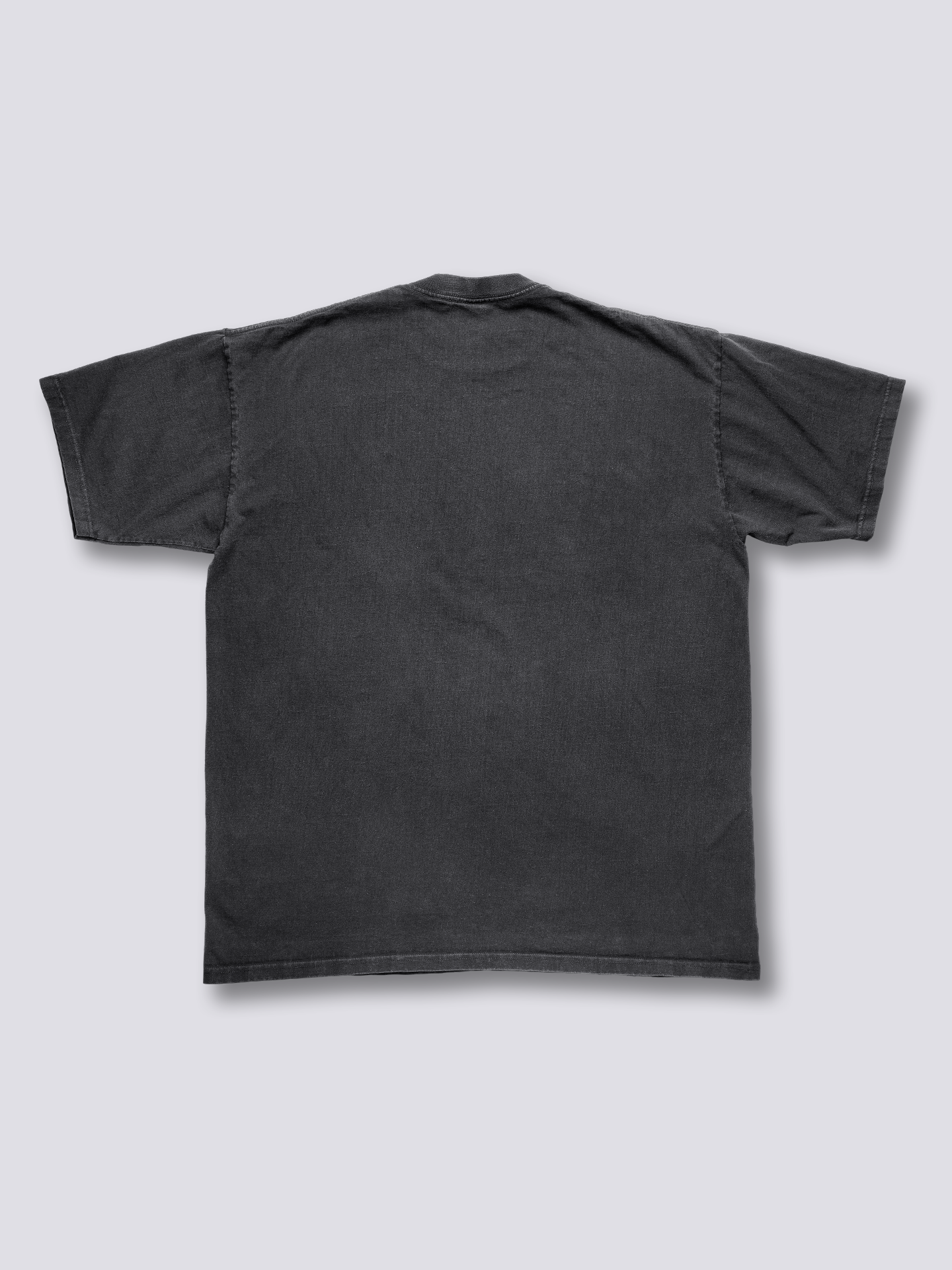 Front Print - Mount Fuji Crane Vintage T-Shirt